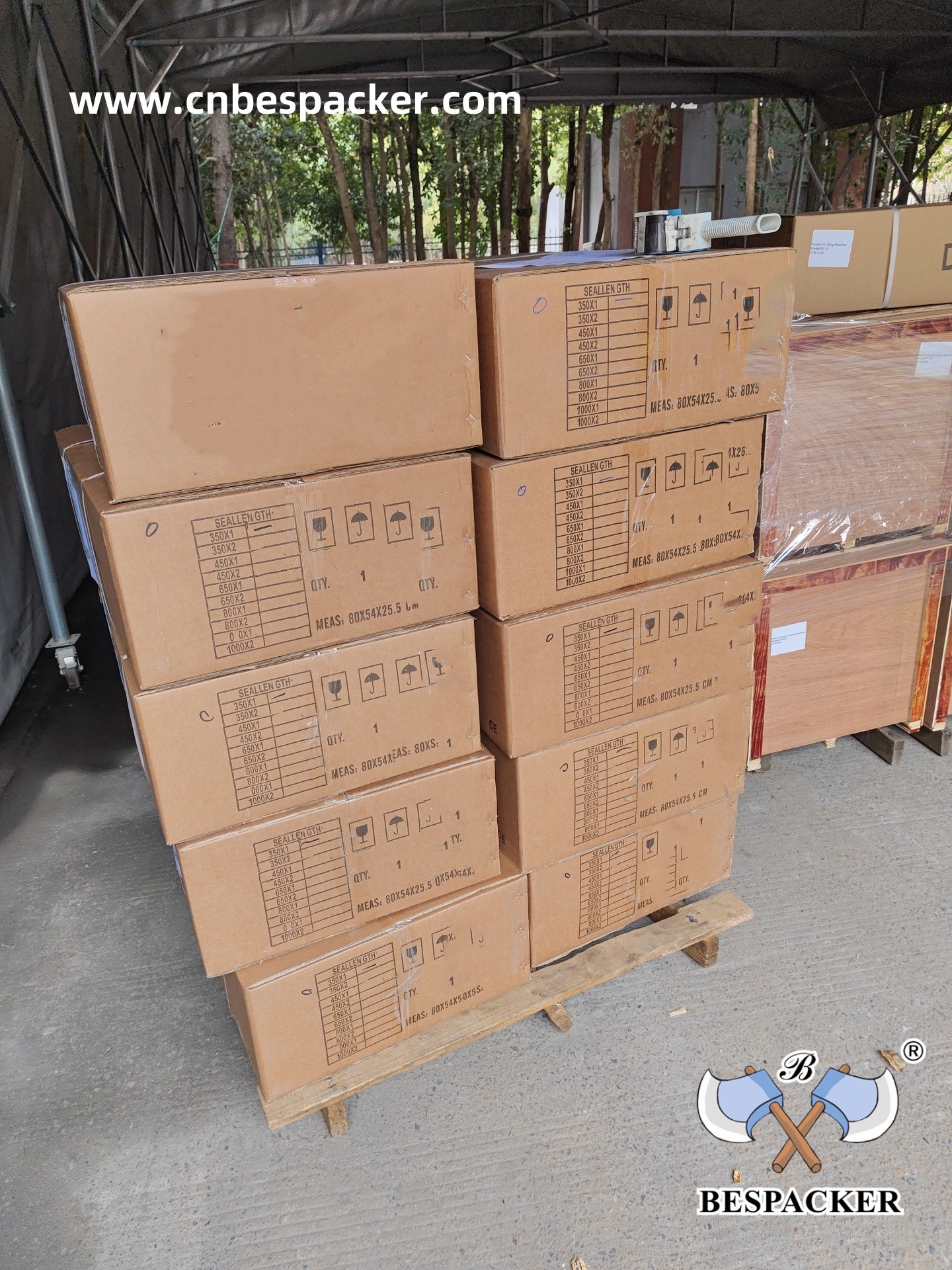 Bespacker Packaging Machinery Equipment Co., Ltd.