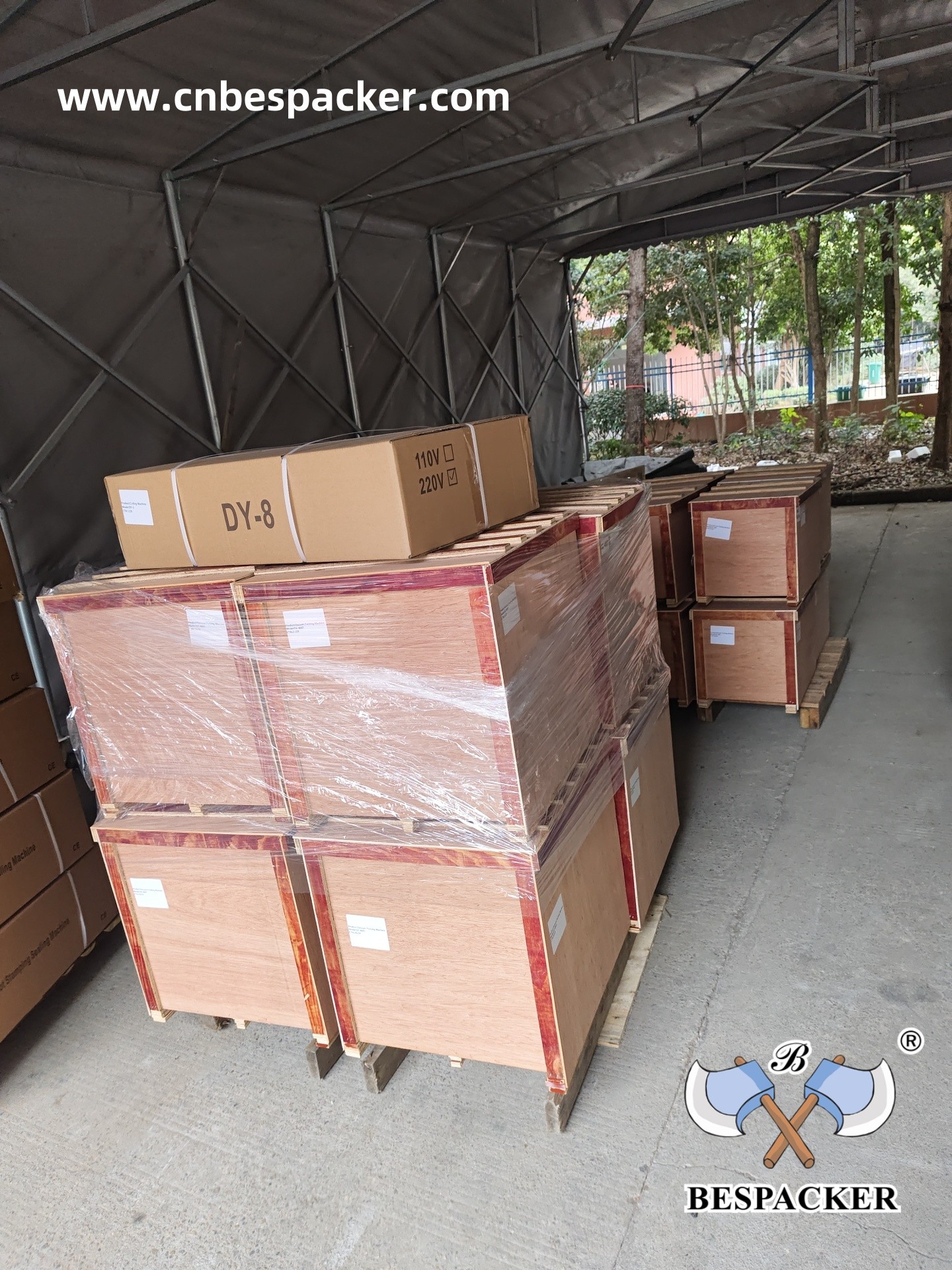 Bespacker Packaging Machinery Equipment Co., Ltd.