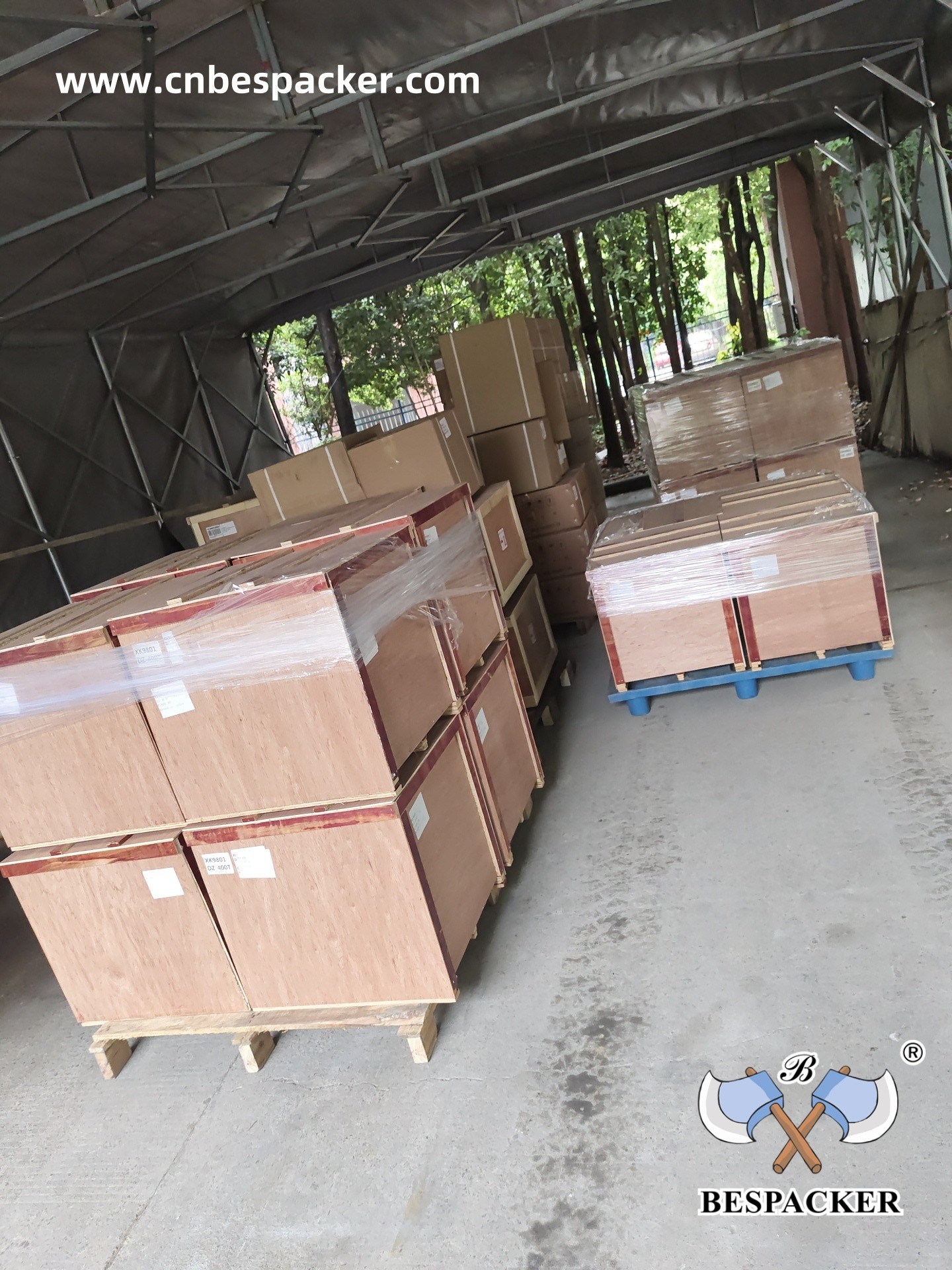 Bespacker Packaging Machinery Equipment Co., Ltd.