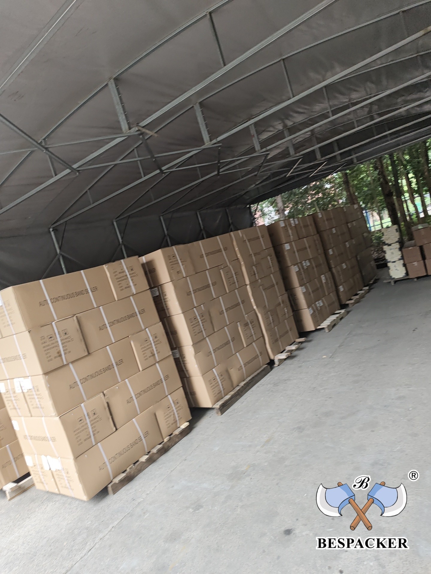 Bespacker Packaging Machinery Equipment Co., Ltd.