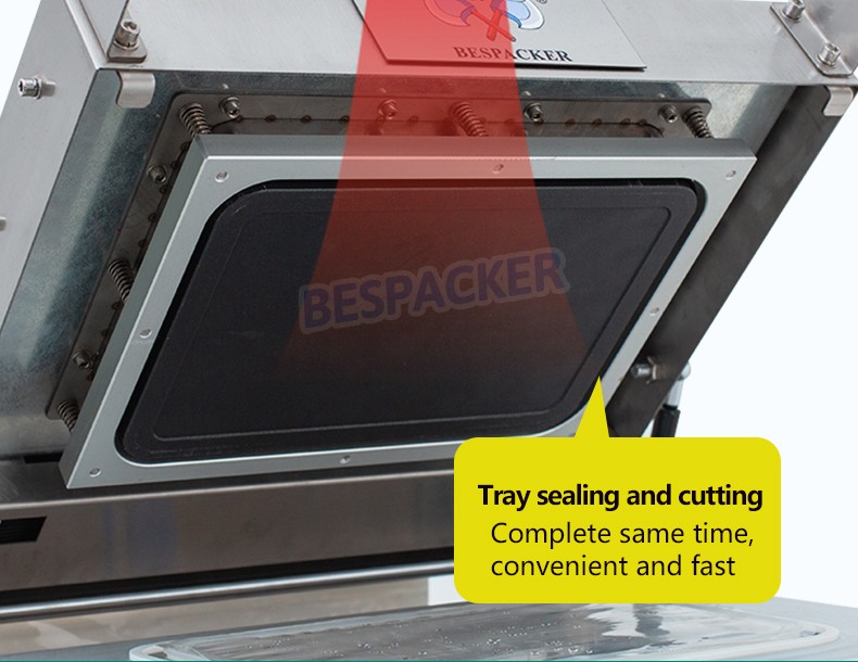 Bespacker Packaging Machinery Equipment Co., Ltd.