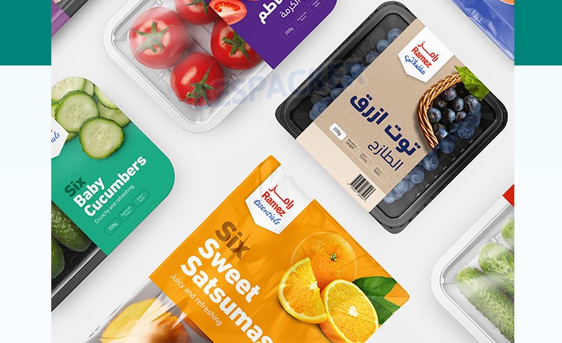 Bespacker Packaging Machinery Equipment Co., Ltd.